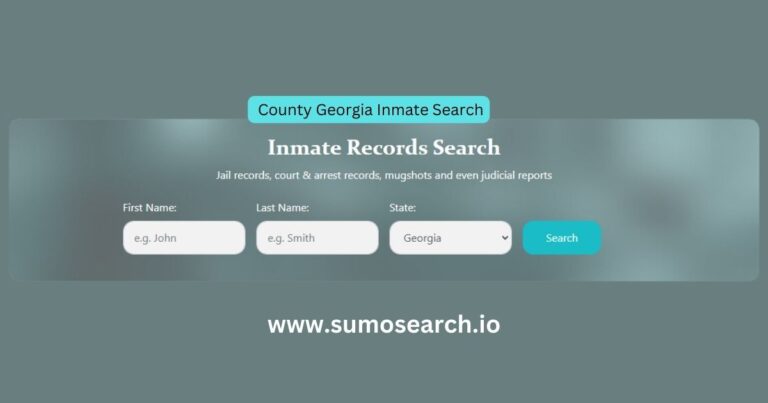 County Georgia Inmate Search