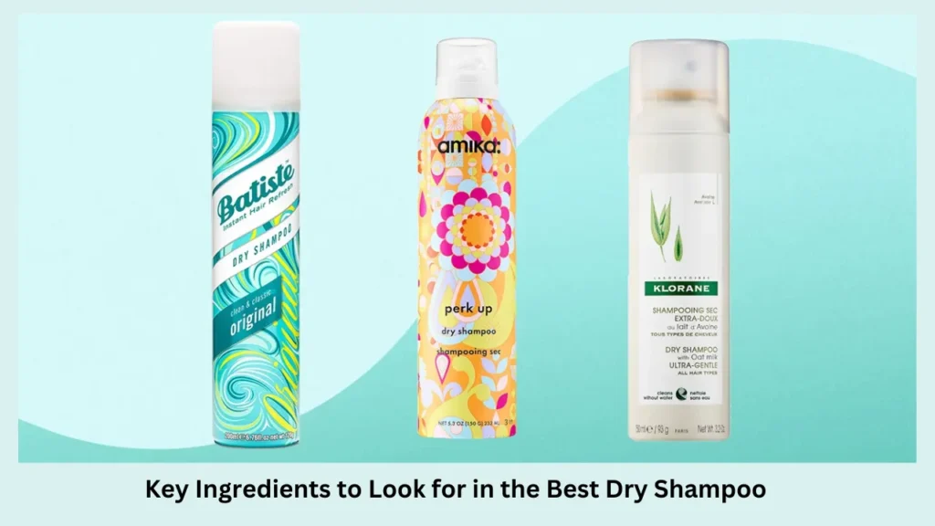 Key Ingredients to Look for in the Best Dry Shampoo