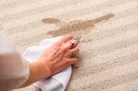 Stains, Odors & Dirt? Carpet Bright UK Has the Solution